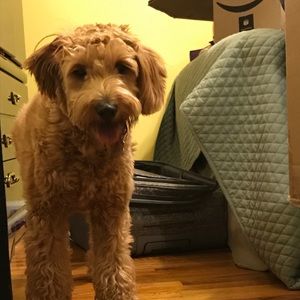 Meet your Posher, Preethi